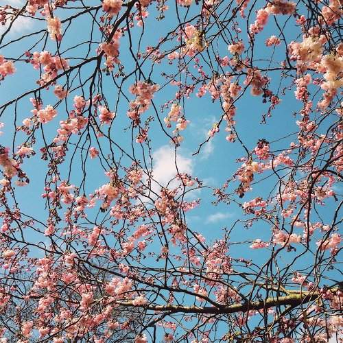 Spring