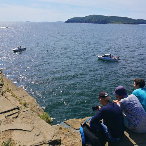 Прыжки в воду