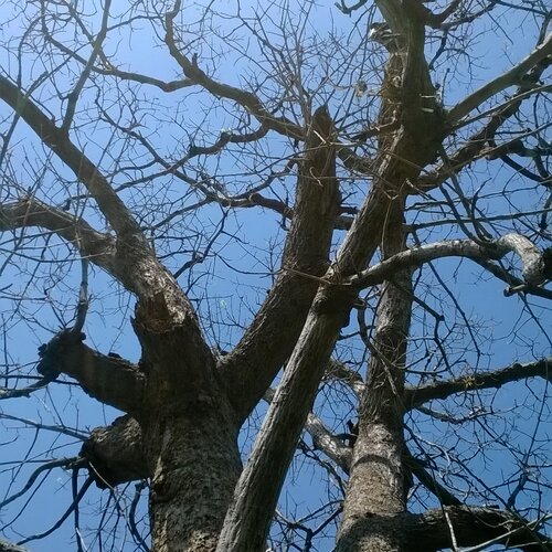 Photo #1960208