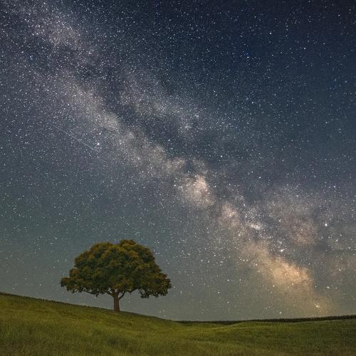 Stars