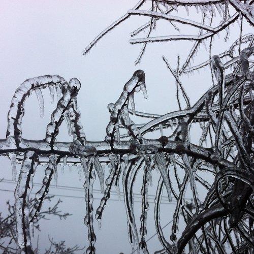 Кубанская зима