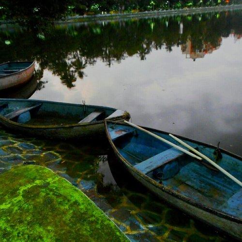 Urban evening by the lake