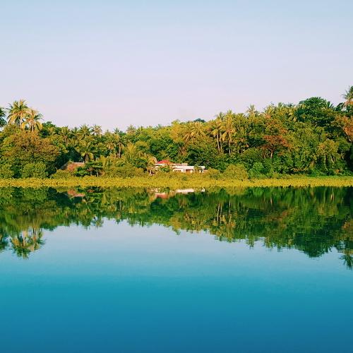 Nature Reflections