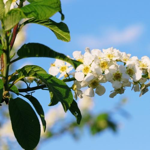 Photo #1962598