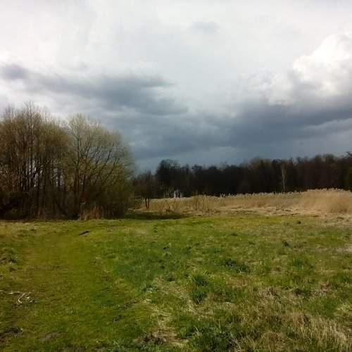 Photo #1963536