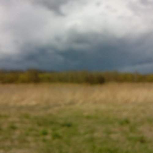 Photo #1963549