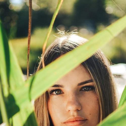 Photo #1963906