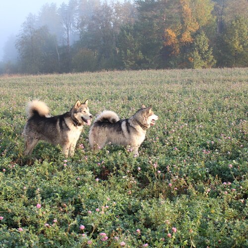 Photo #1964746