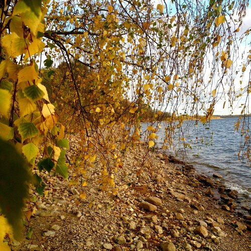 Золотая осень