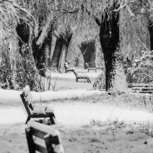 Winter calm