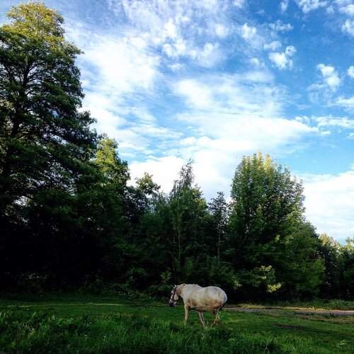 Photo #1966153