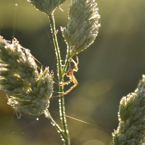 Photo #1966257