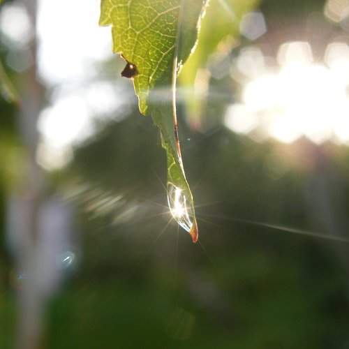 Photo #1966613