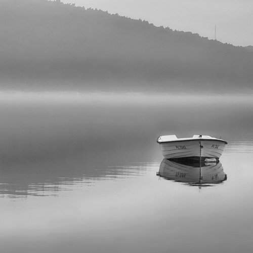 Photo #1966748
