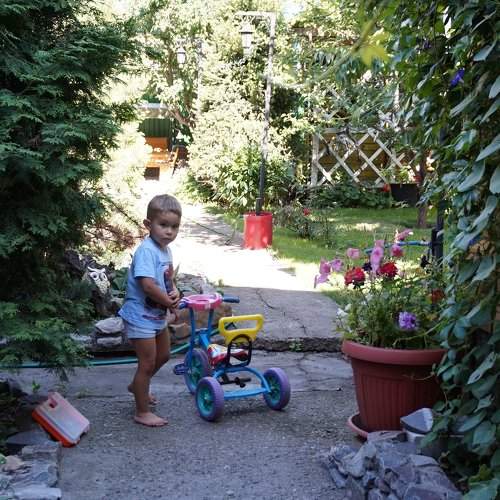 Photo #1966826