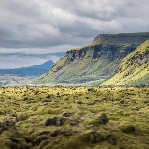 Fields of Lava
