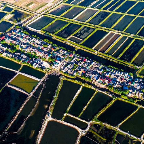 Small town in the field
