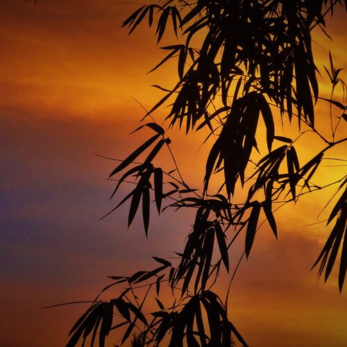 Nature's Painting