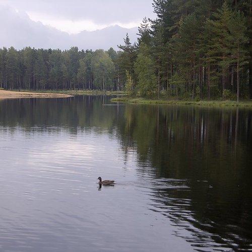 Коркинские Озера