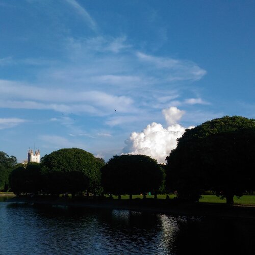 Tranquil nature