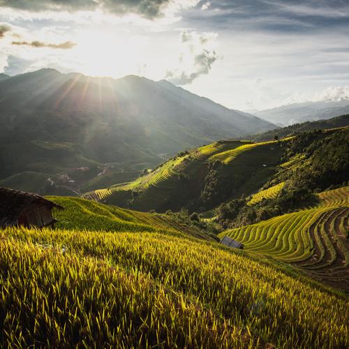 Mu Cang Chai