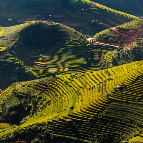 Mu Cang Chai