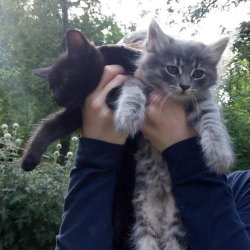Photo #1970659