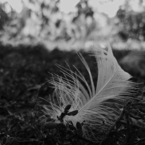 Легкість