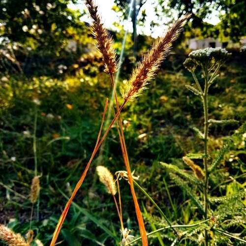 Photo #1970690