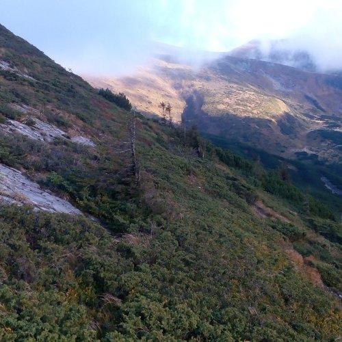 Photo #1974531