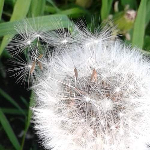 Photo #1974557