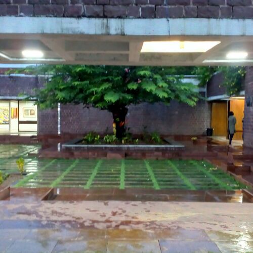 Tree of art