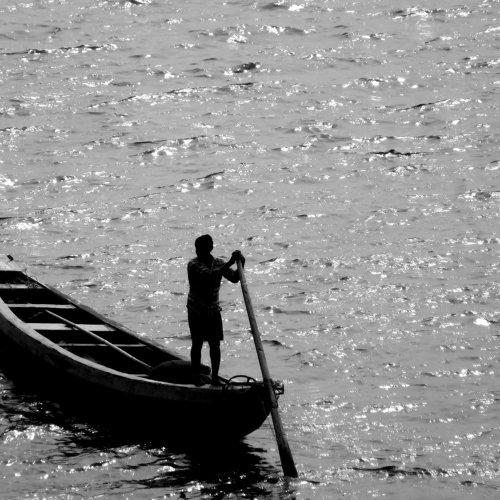 Rowing through life