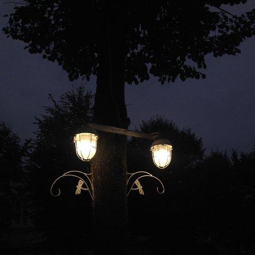 Photo #1977264