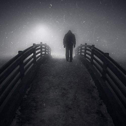 Road to the promised fog