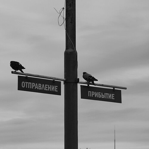 Голубиная почта