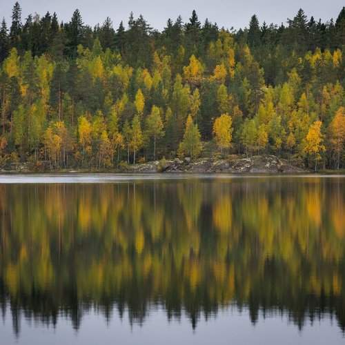 Karjala Autumn