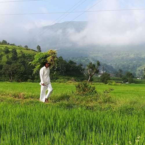 sync with nature