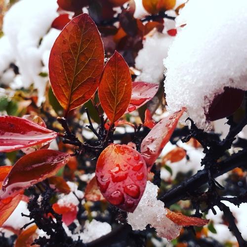 Photo #1978487
