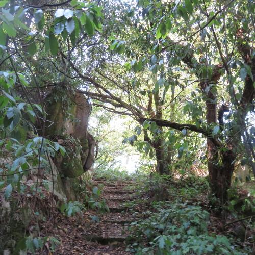 Sintra