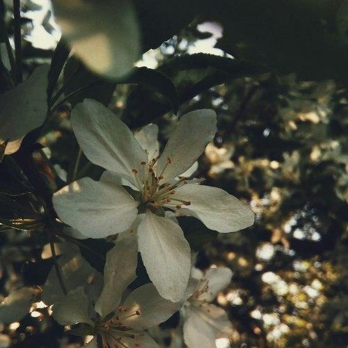 Photo #1979757