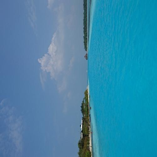 Island life