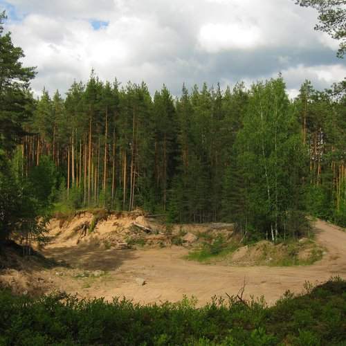 Photo #1980986