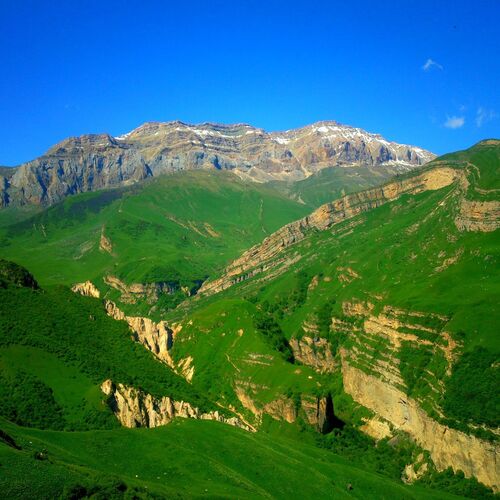 Green paradise