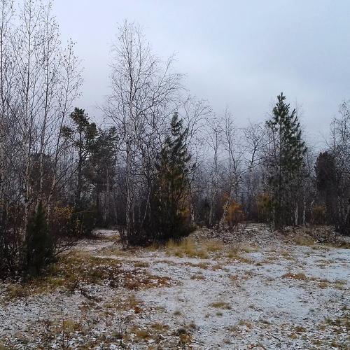 первый снег