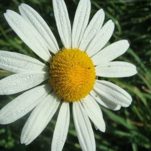 Photo #1986914