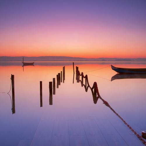 submerged morning
