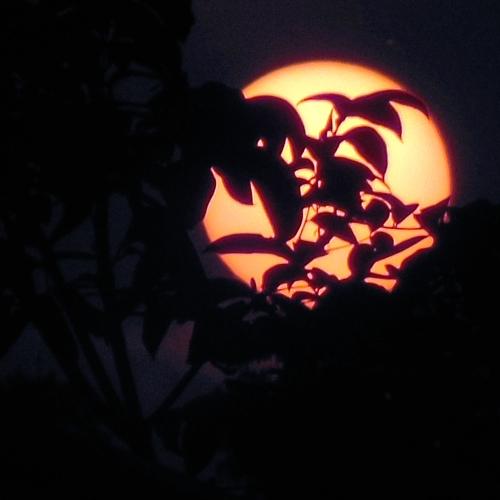 Full moon