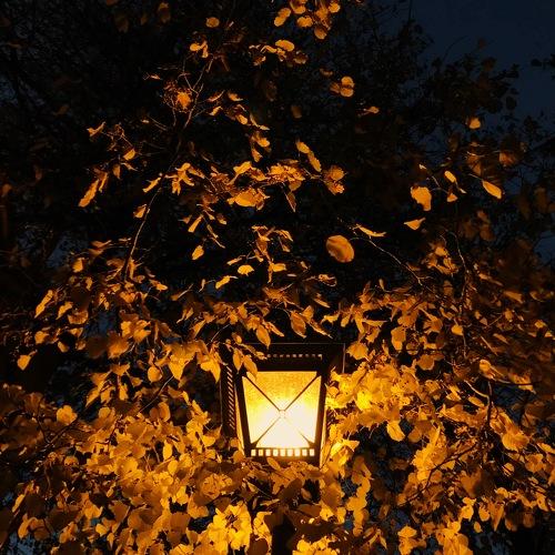 Autumn, fire and broken hearts