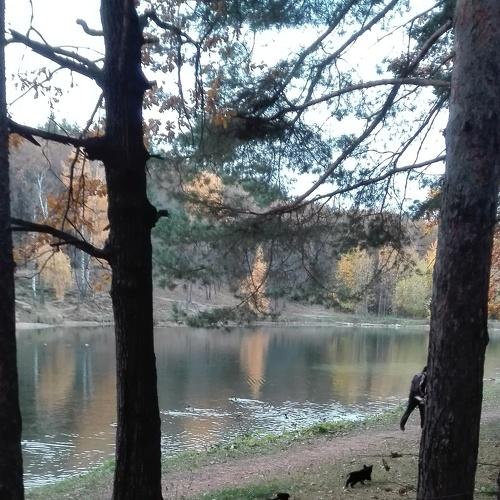 На зарядке